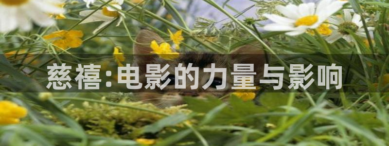 新闻图片