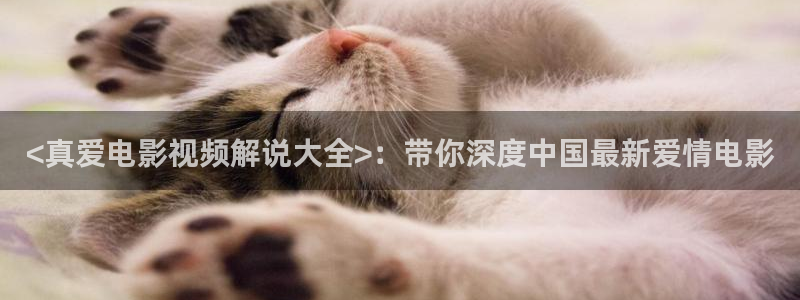 樱桃播放