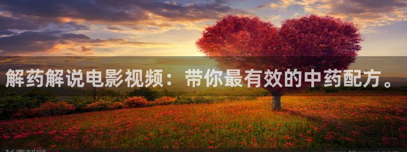 樱桃视频色板