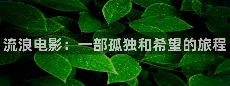 wwwwxxxx樱桃视频