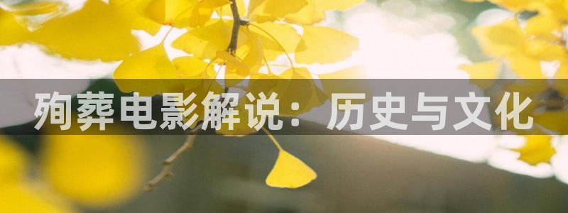 樱桃夏季修剪技术视频观看