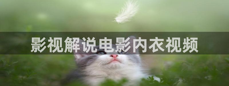 樱桃小视频短视频在线