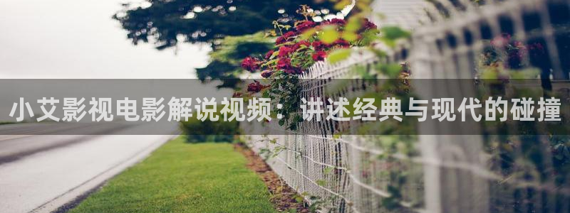 樱桃电视剧免费看